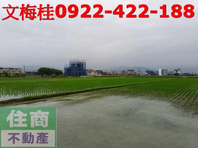 宜蘭宜蘭市農地-1