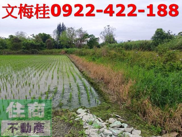 宜蘭宜蘭市農地-2