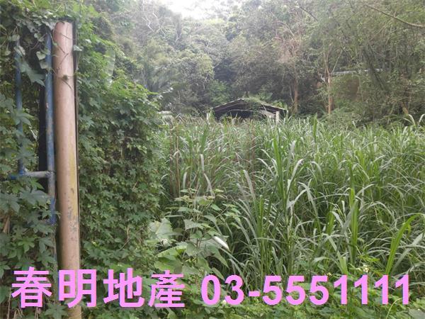 北埔農地-7