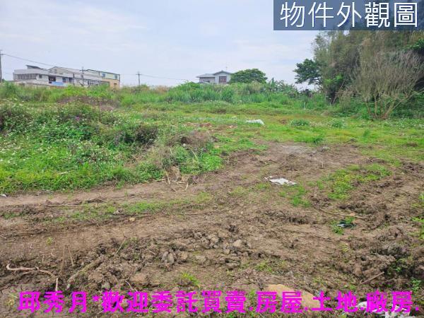 新北農地-1