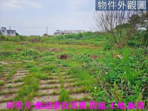 新北農地-4