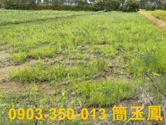 桃園楊梅工業地-0