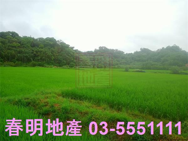 新竹峨眉農地-6