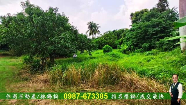 台南農地-4
