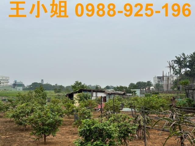 八德農地-0