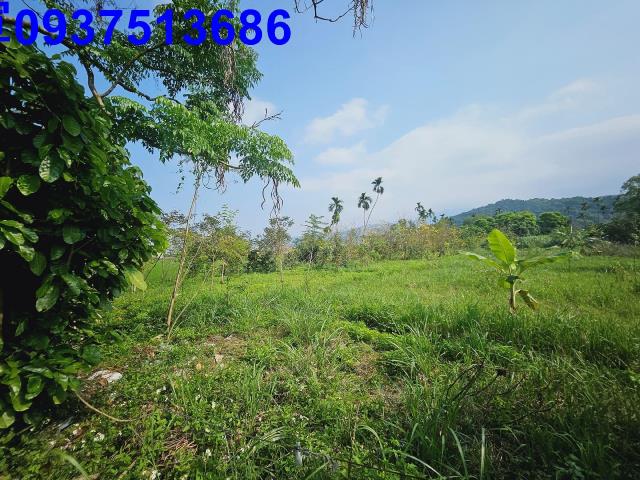 冬山農地-12
