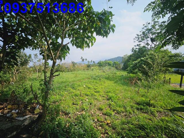 冬山農地-5