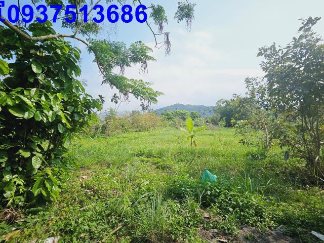 冬山農地-6