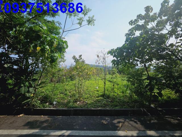 冬山農地-7