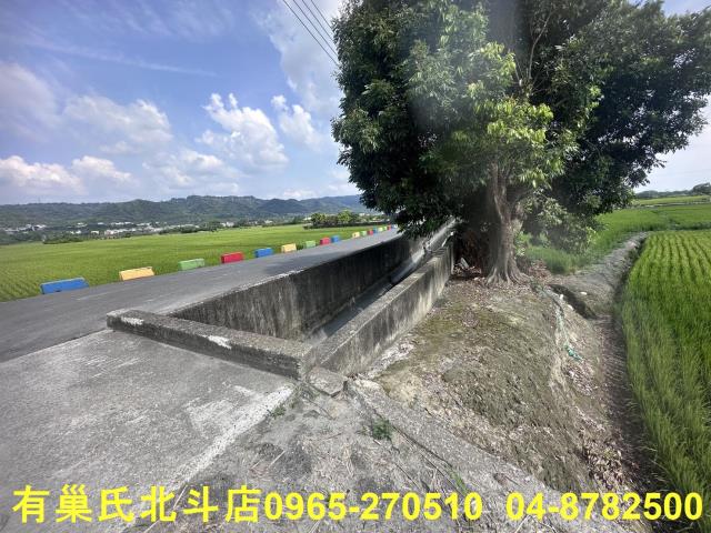 田中農地-1
