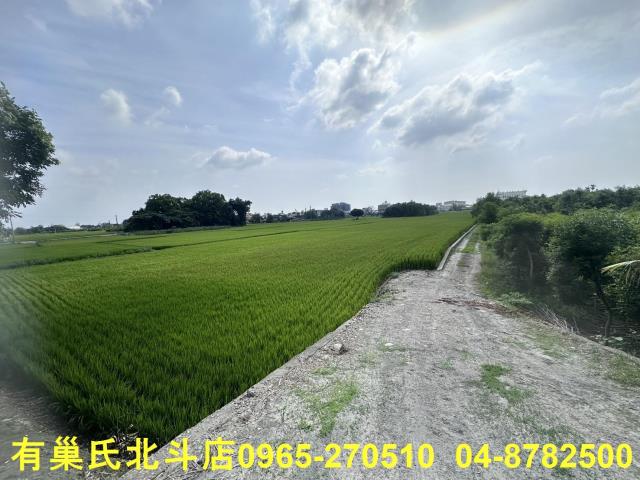 田中農地-3