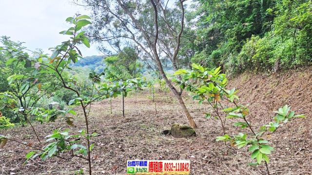 新竹竹東農地-0