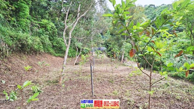 新竹竹東農地-2