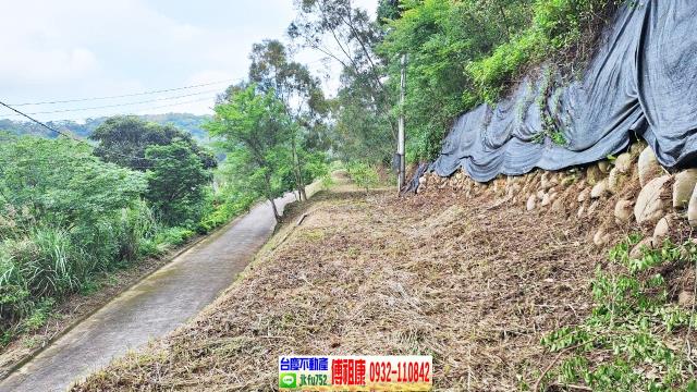 新竹竹東農地-6