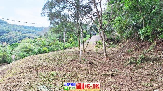 新竹竹東農地-8