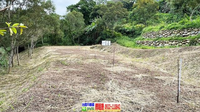 新竹竹東農地-4