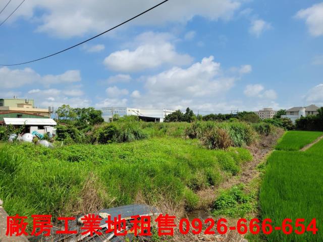 桃園楊梅工業地-0