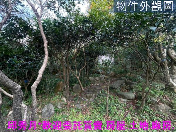 三芝農地-11