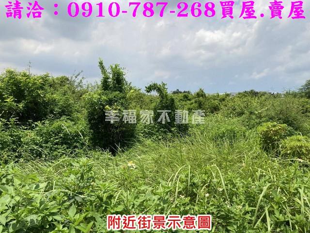台南農地-2