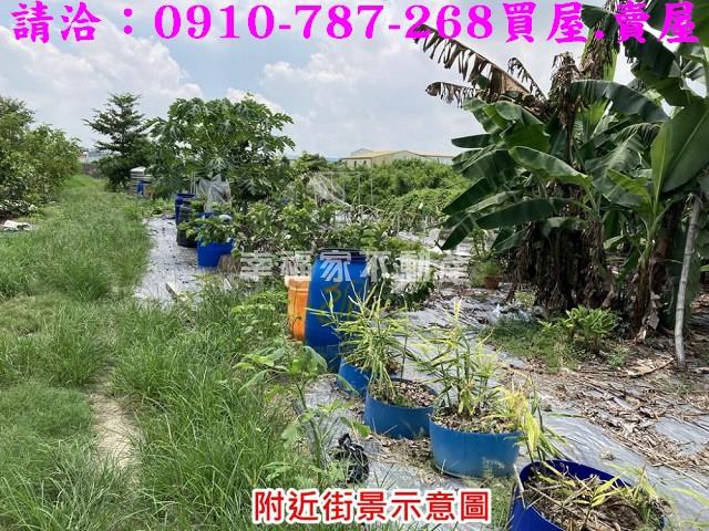 台南農地-5