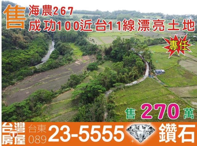 台東成功農地-0