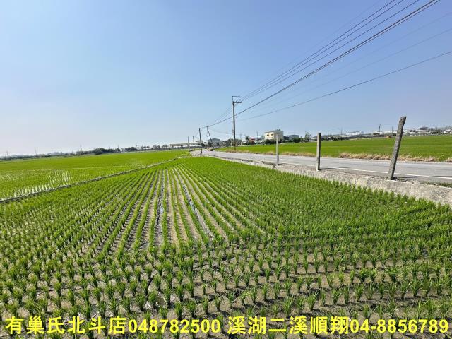 二林農地-0