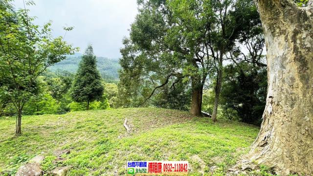 峨眉農地-5