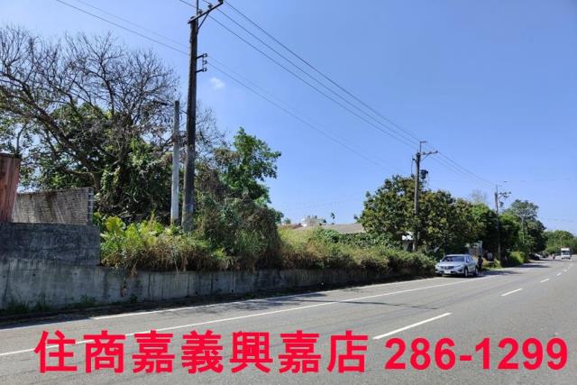 台南建地-9
