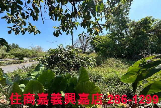 台南建地-3