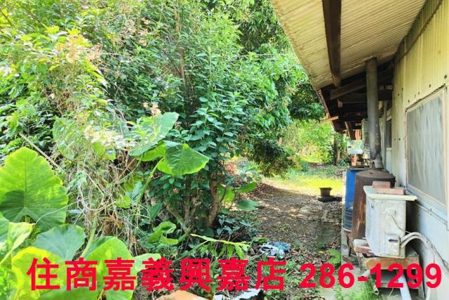 台南建地-7