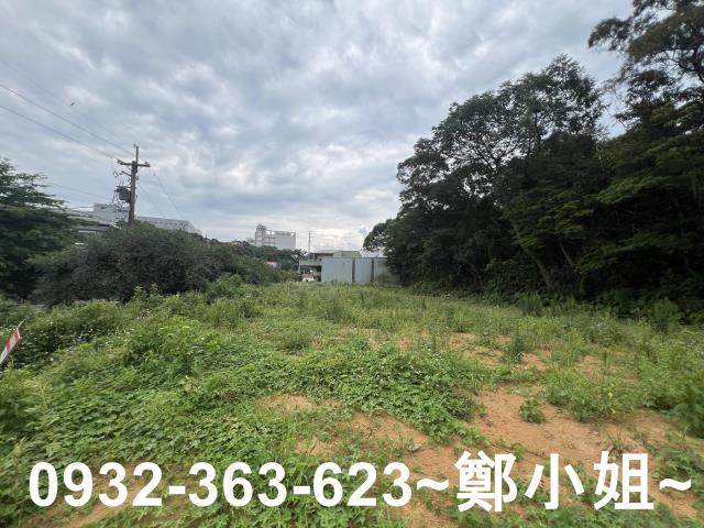 桃園平鎮農地-8