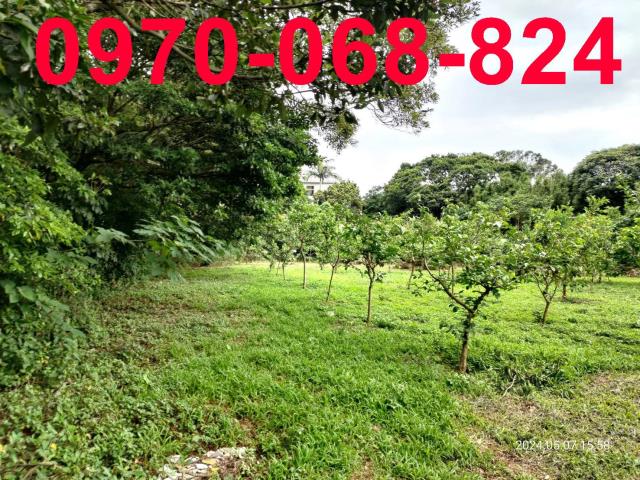 桃園龍潭農地-0