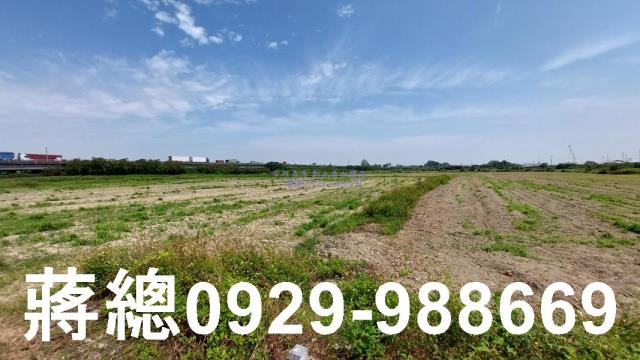 台南新市農地-5