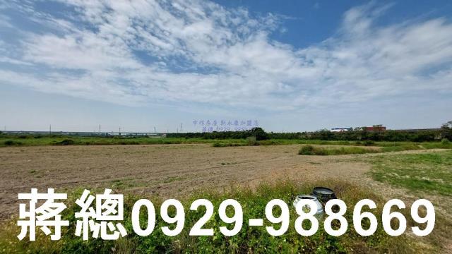 台南新市農地-7