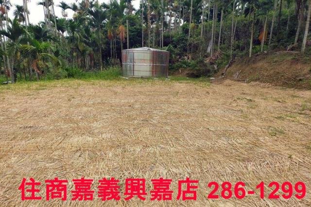 中埔農地-4