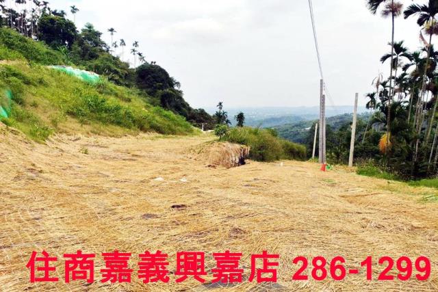 中埔農地-5