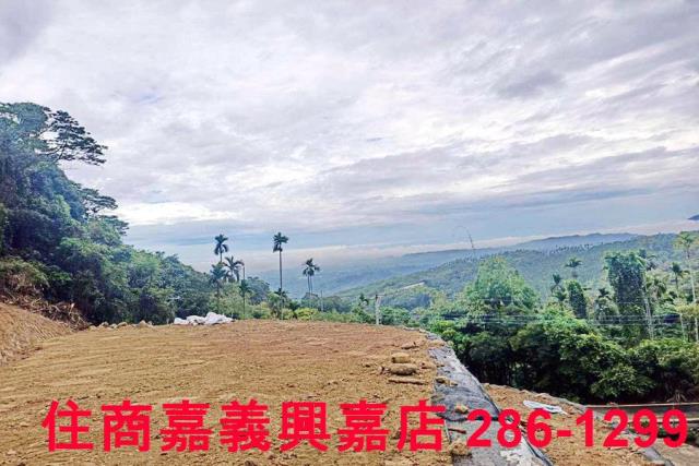 中埔農地-6