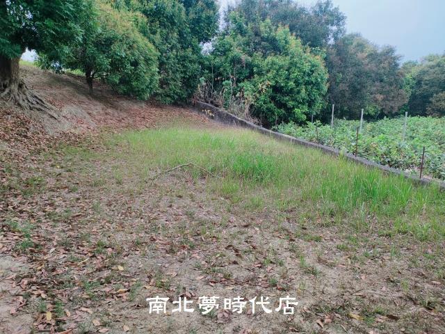 楠西農地-5