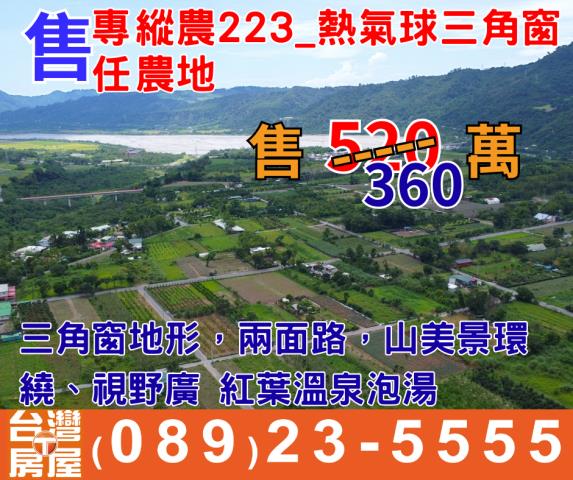 台東鹿野農地-0