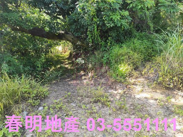新竹竹東農地-6