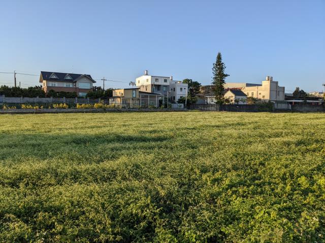 中壢農地-5