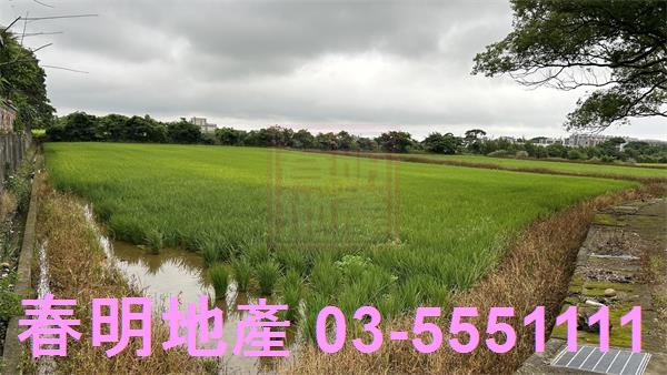 新豐農地-0