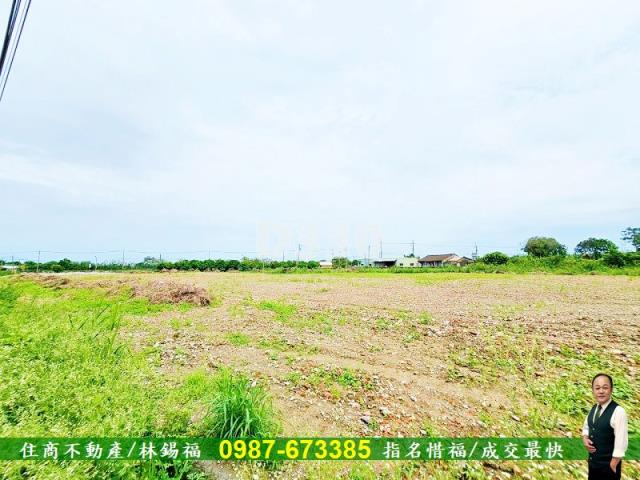新市農地-3