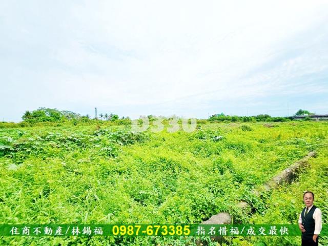新市農地-5