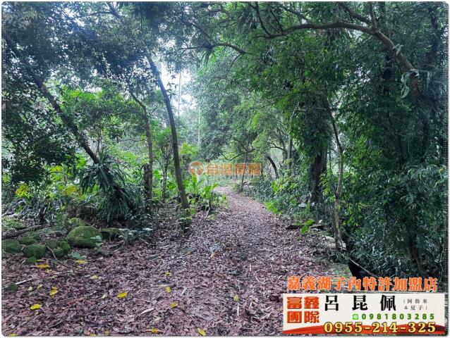 嘉義農地-1