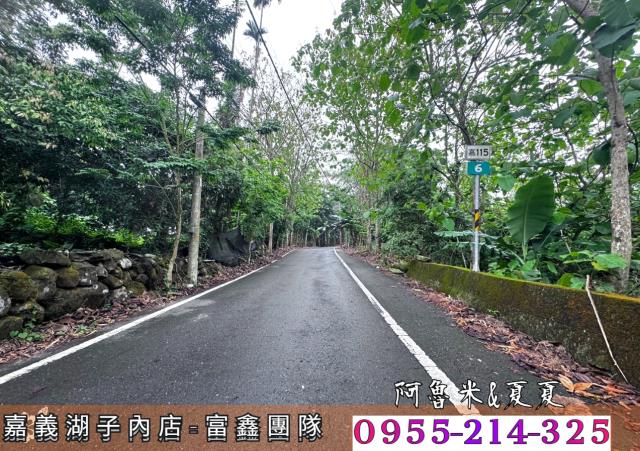 嘉義農地-7