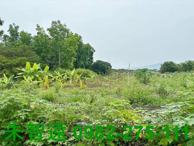 台南南化農地-4