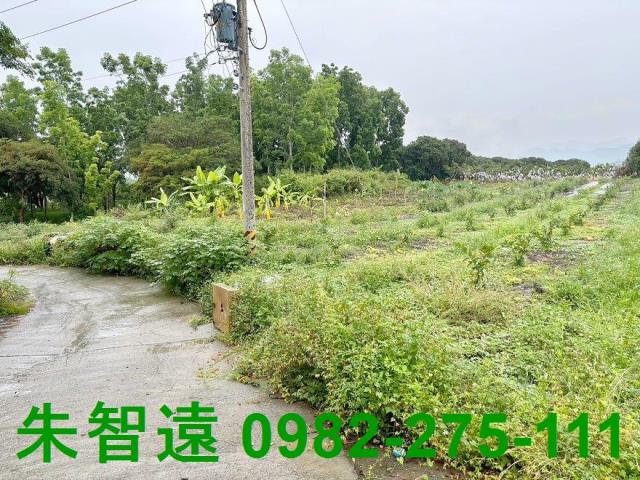 台南南化農地-7