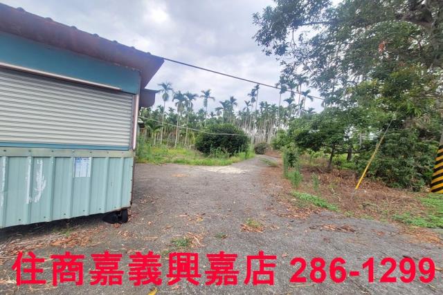 嘉義中埔農地-2