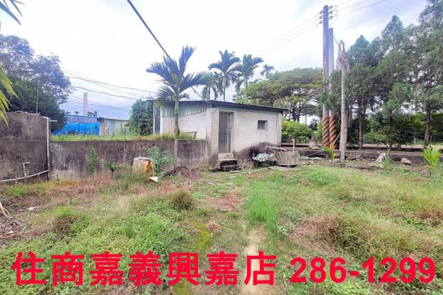 嘉義中埔農地-3